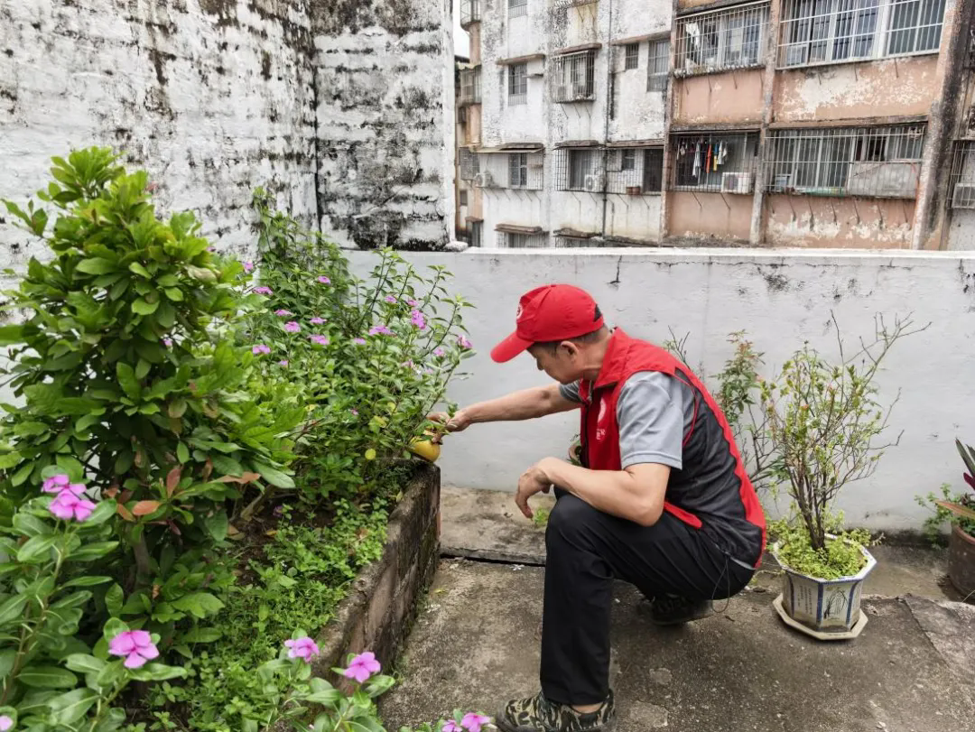 图为区纪委监委党员义工到社区参与防蚊灭蚊工作,清理楼顶天台积水容器。.webp.png