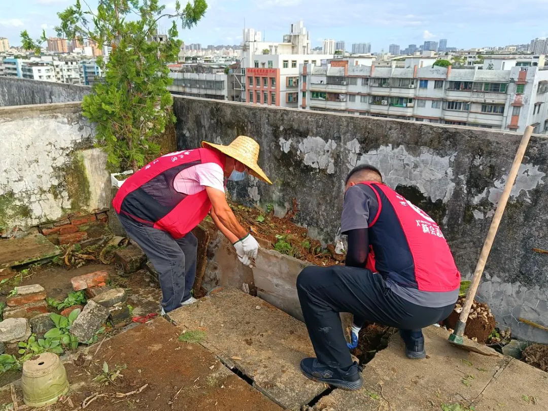 图为区纪委监委党员义工到社区参与防蚊灭蚊工作,清理楼顶天台杂草杂物。.webp.png