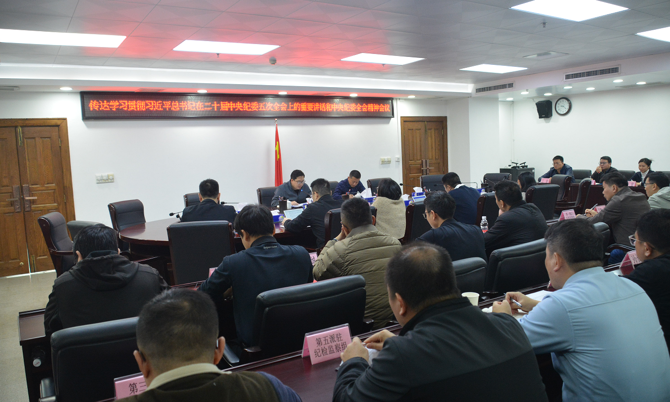 新会区纪委常委会传达学习二...